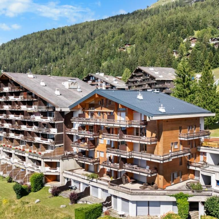 Gemeaux 104 sur la place du village a Anzere - Apartment - 29