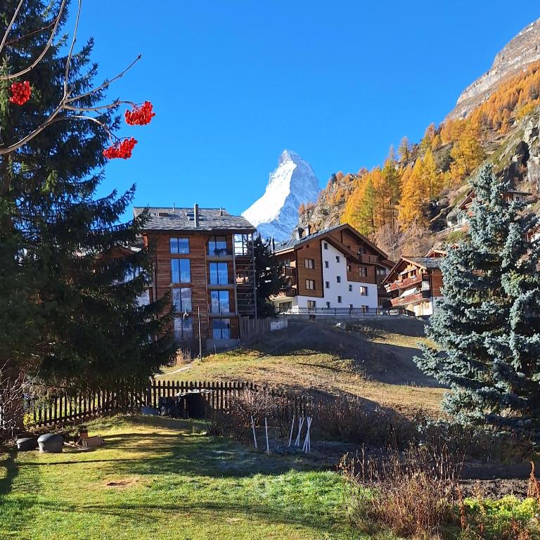 Haus Oberdorf - 2-Zimmer-Apartment - 1