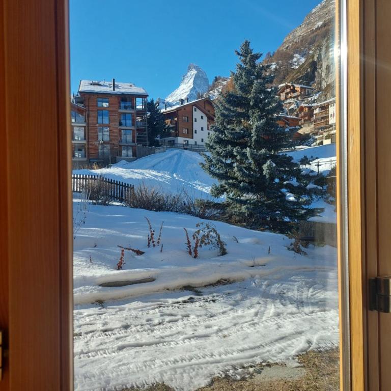 Haus Oberdorf - 2-Zimmer-Apartment - 3