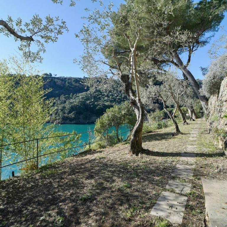 The Stone Pine House - Paraggi - Appartamento - 29