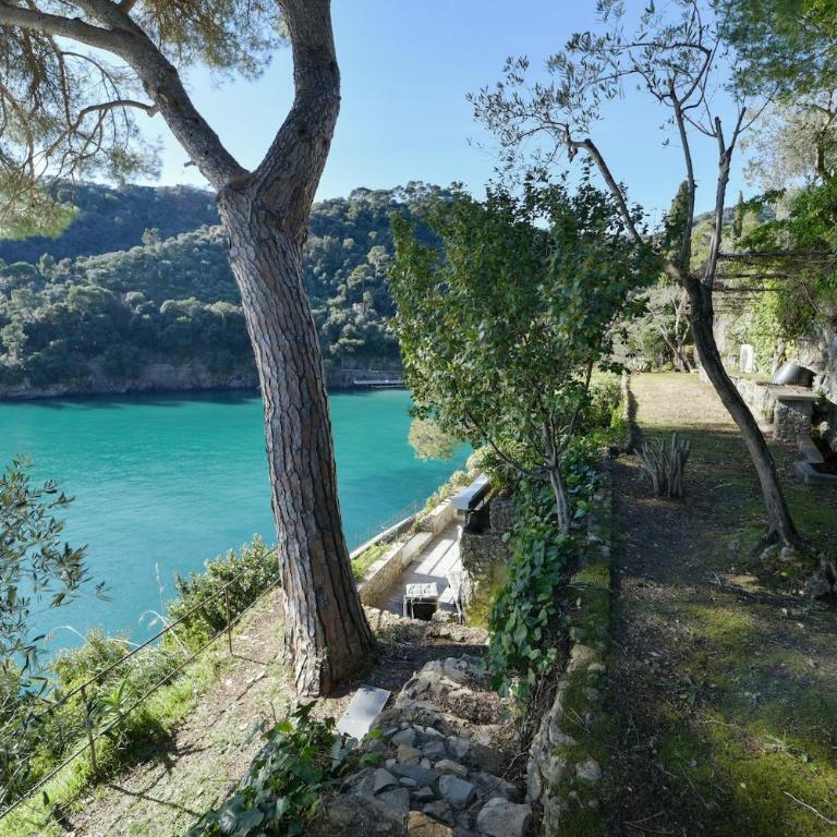 The Stone Pine House - Paraggi - Appartamento - 52