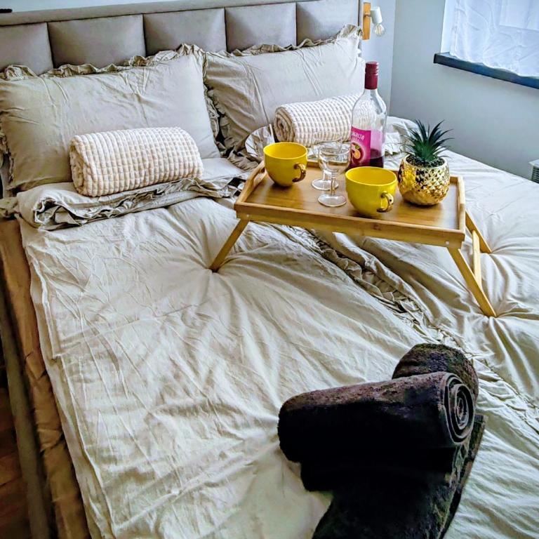 Andonovic Lux - One-Bedroom Apartment - 11