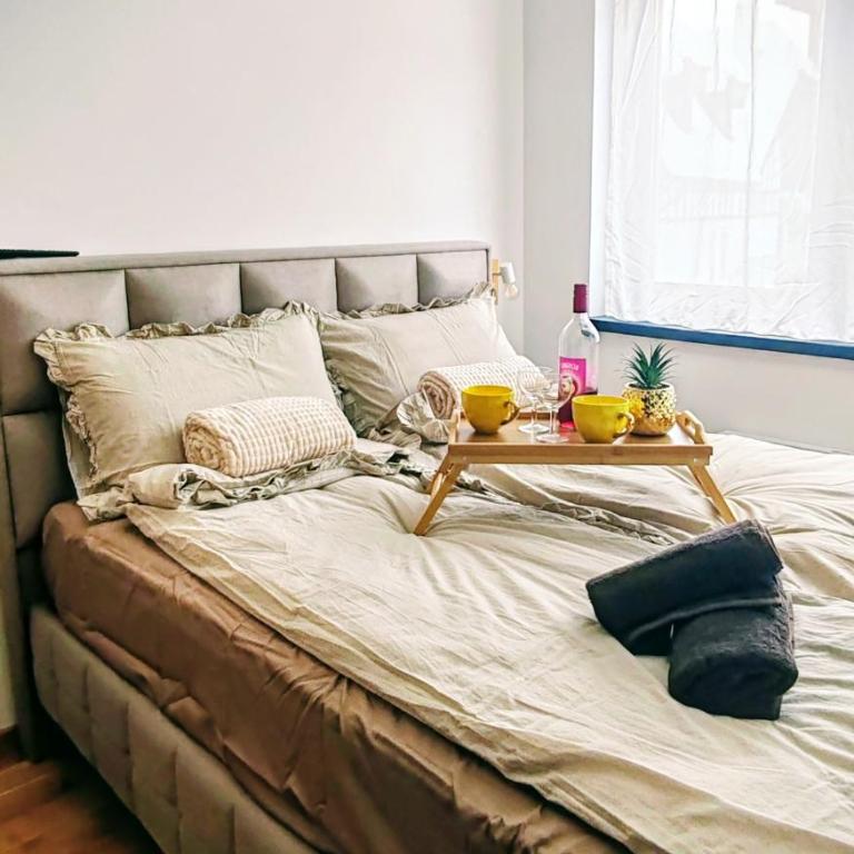Andonovic Lux - One-Bedroom Apartment - 15