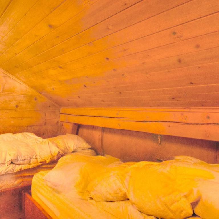 Chalet Isbane a Anzere avec vue sur les Alpes - Chalet - 13