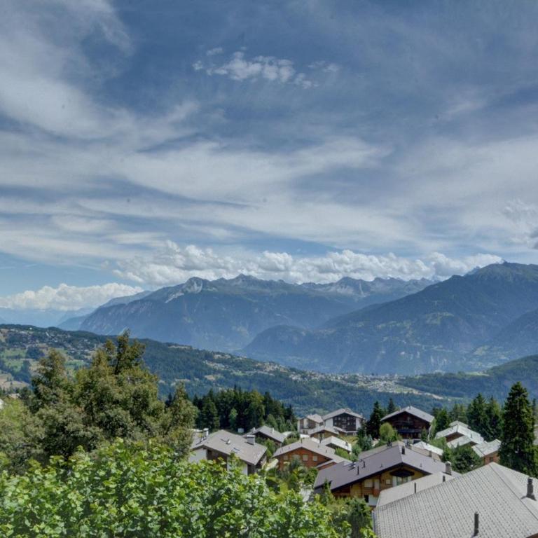 Chalet Cytises a Anzere avec vue sur les Alpes - Chalet - 13