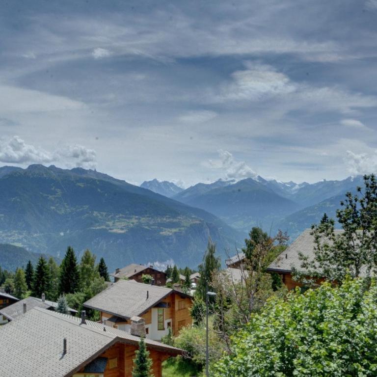 Chalet Cytises a Anzere avec vue sur les Alpes - Chalet - 14