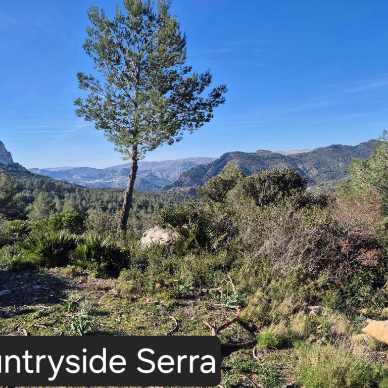 Casa del Andrago - Two-Bedroom Apartment - 33