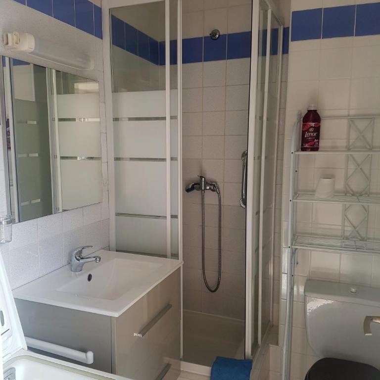 Studio DIUMENGE - Appartement 1 Chambre - 8