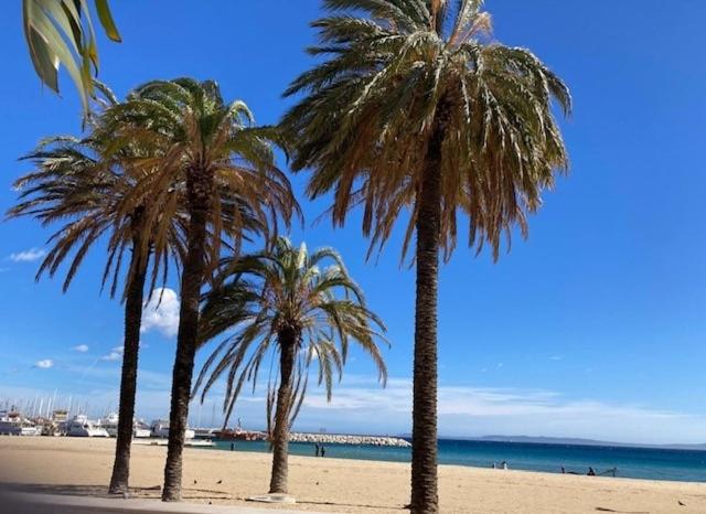 T2 classé 3 étoiles avec piscine et climatisation Bormes les Mimosas Le Lavandou - Appartamento con 1 Camera da Letto - 2