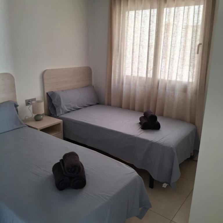Casa la Pluma Torrevieja - Apartamento de 2 dormitorios - 8