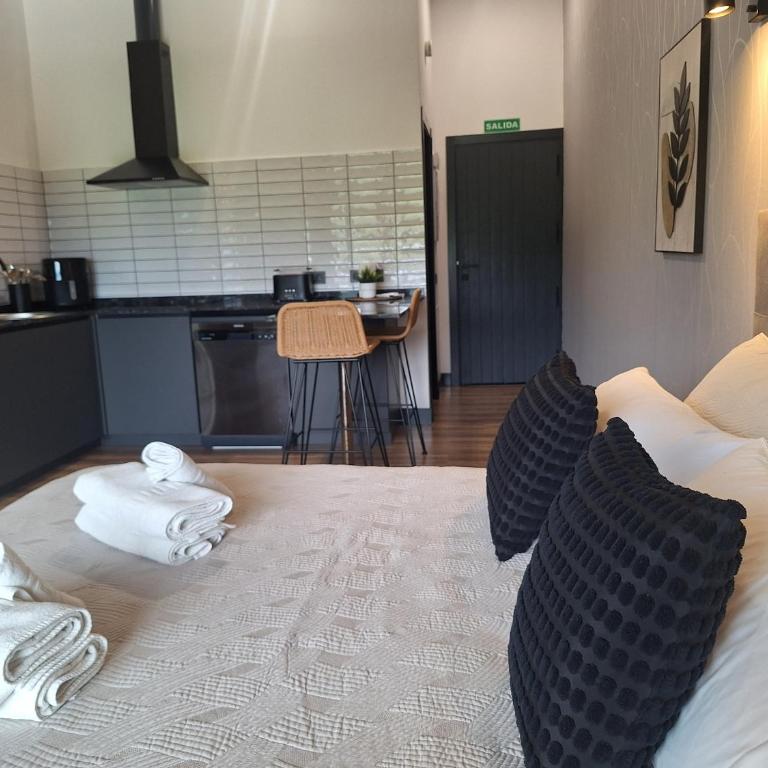 Apartamentos El Llanin - Estudio con terraza - 1
