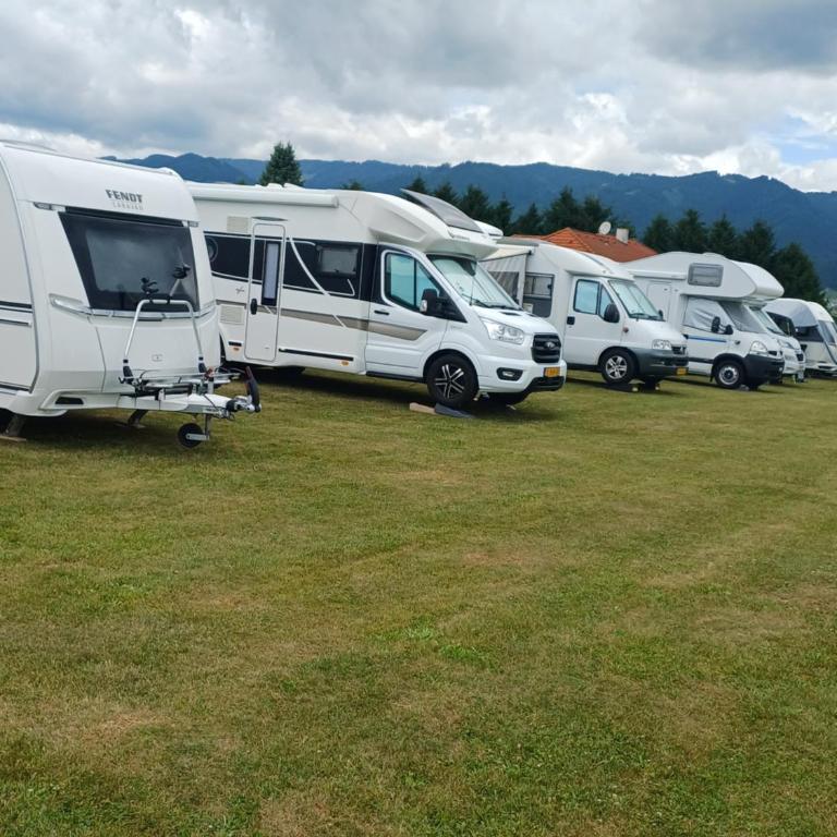 Camping Dorfer - Emplacement nu - 5