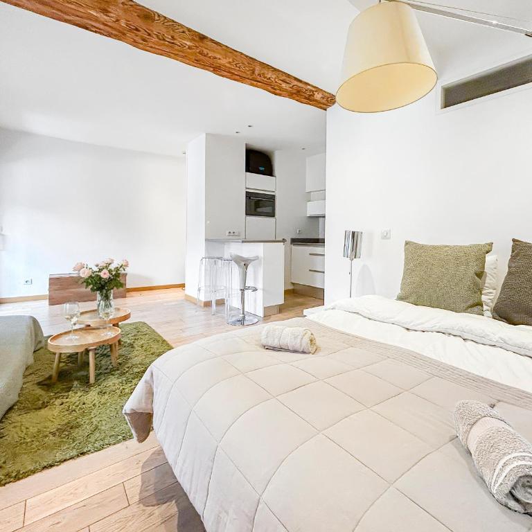 Studio en Plein Coeur D'Annecy - Apartment mit 1 Schlafzimmer - 9