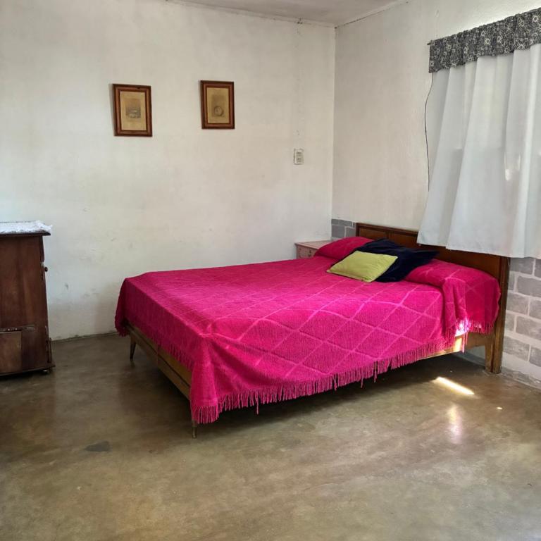 casacarlina - One-Bedroom Apartment - 2