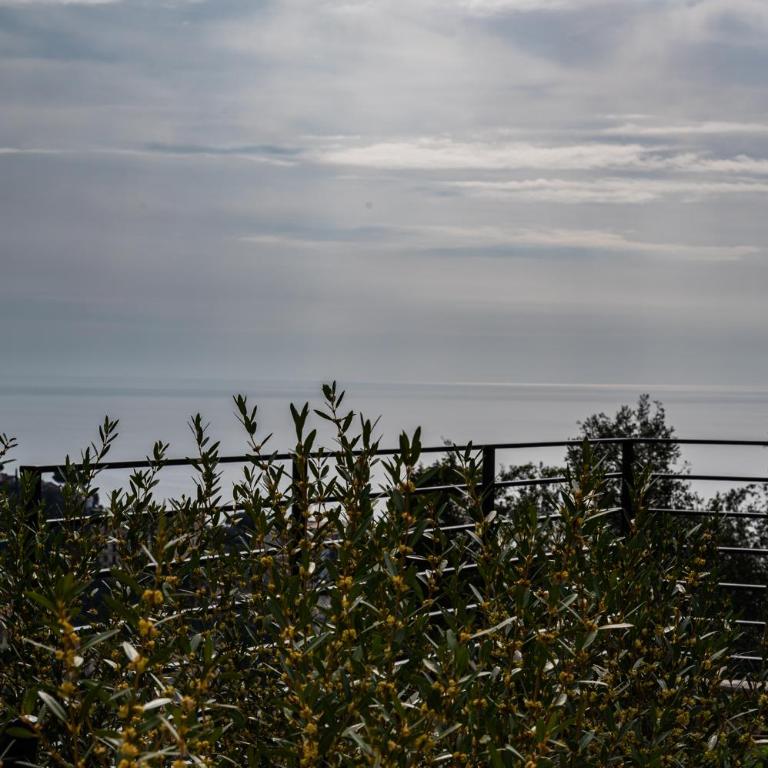Rapallo - Vista mare con letto a castello - Appartamento con 1 Camera da Letto - 8