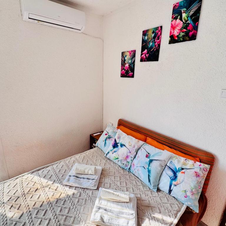 Mon - One-Bedroom Apartment - 12
