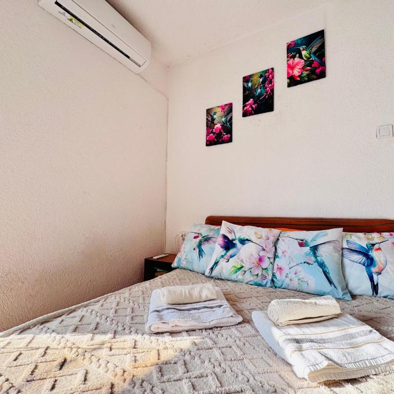 Mon - One-Bedroom Apartment - 13