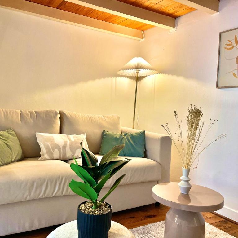 " Nid Secret " Chambre insolite sous-sol - Wifi - Centre Ville - Apartment mit 2 Schlafzimmern - 9
