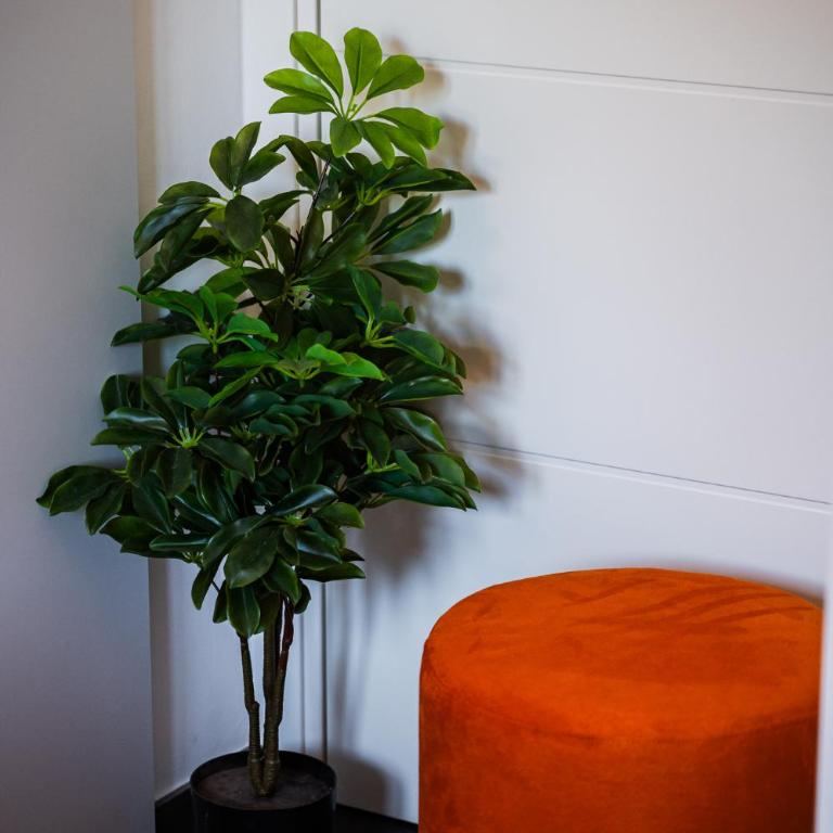 Rapallo - Appartamento con roccia naturale - Appartamento con 1 Camera da Letto - 8