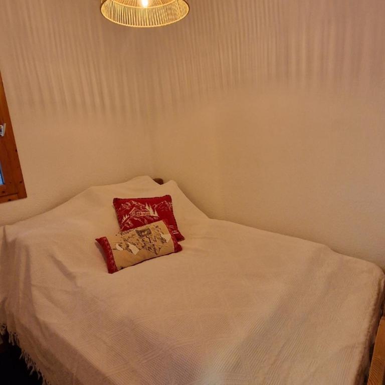 Appartement 2 pièces · Coin montagne · Ski aux pieds - FR-1-181-2865 - Appartement - 14