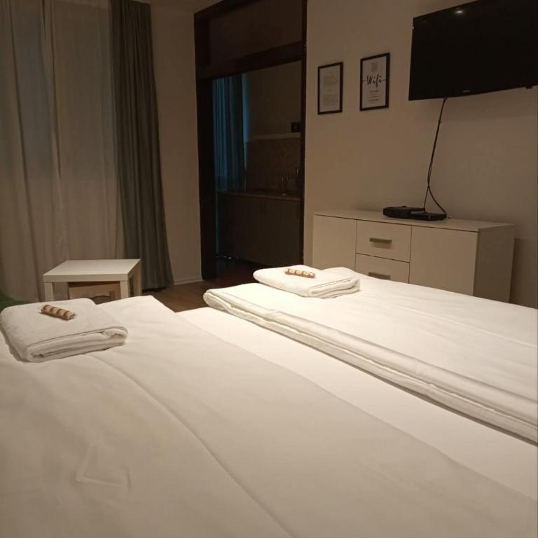 City Center Luxury Apartment - Apartman sa 1 Spavaćom Sobom - 3