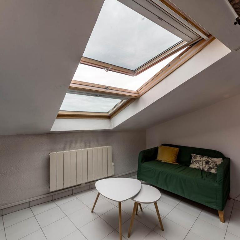 AllinLyon | Duplex sous les toits - Apartamento - 13