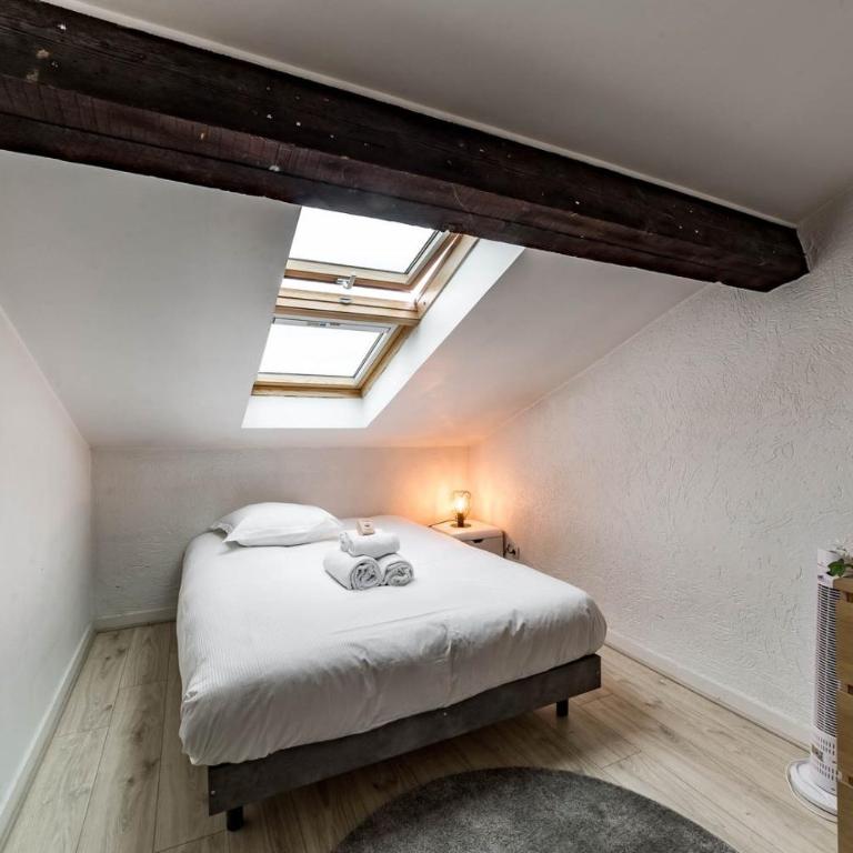 AllinLyon | Duplex sous les toits - Apartamento - 15