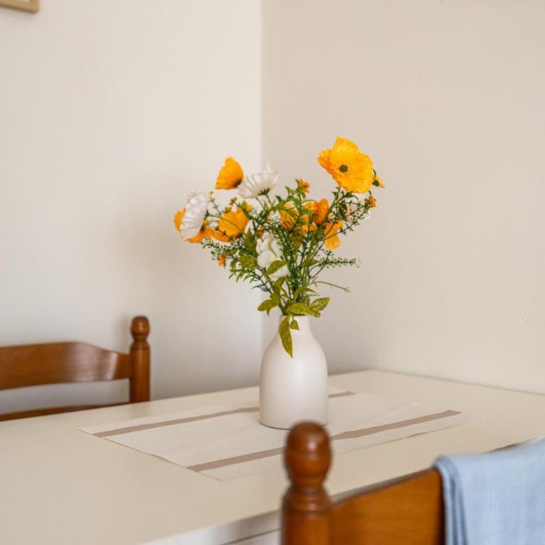 Le Blanqui Wi-Fi proche Cathédrale - Apartamento de 2 dormitorios - 15