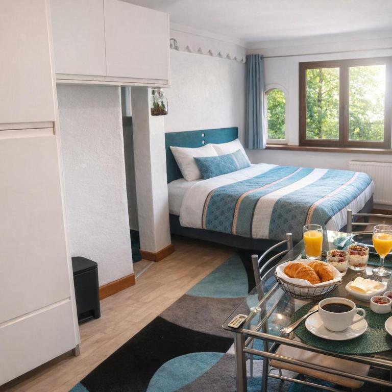 Studio PREMIUM cosy classé 24m2, 2 lits, proche centre, Netflix, Climatisation, Parking privé - Apartment - 3