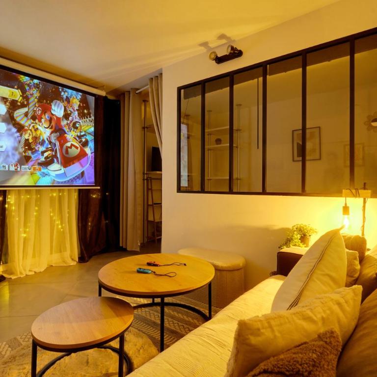 Le Canal Ocre - Netflix - Parking Couvert - Appartement 1 Chambre - 17