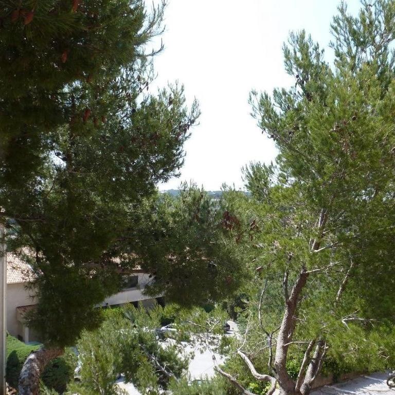 Grand Studio cosy Presqu'île de Giens proche Almanarre - Appartamento con Vista Mare - 38