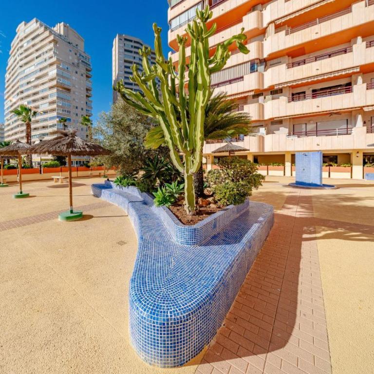 Apartamento Zafiro 35B - Grupo Turis - Apartamento - 20