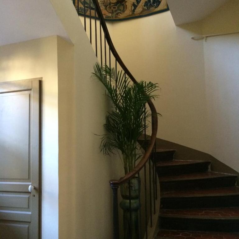 Villa Sainte Anne 19th-century bastide - Villa - 6