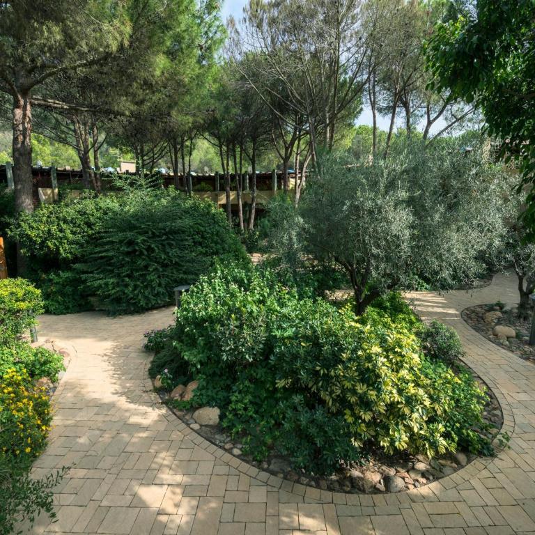 Residence with swimming pool close to the sea - Appartamento - 21