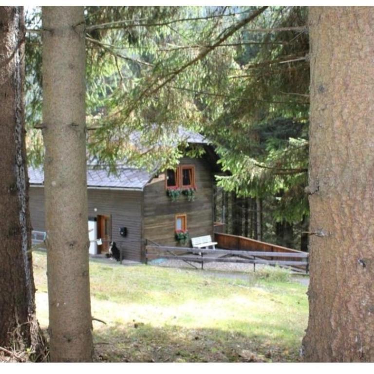 Lovely chalet in Alps - Haus mit 3 Schlafzimmern - 6