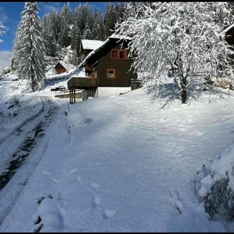 Lovely chalet in Alps - Haus mit 3 Schlafzimmern - 16