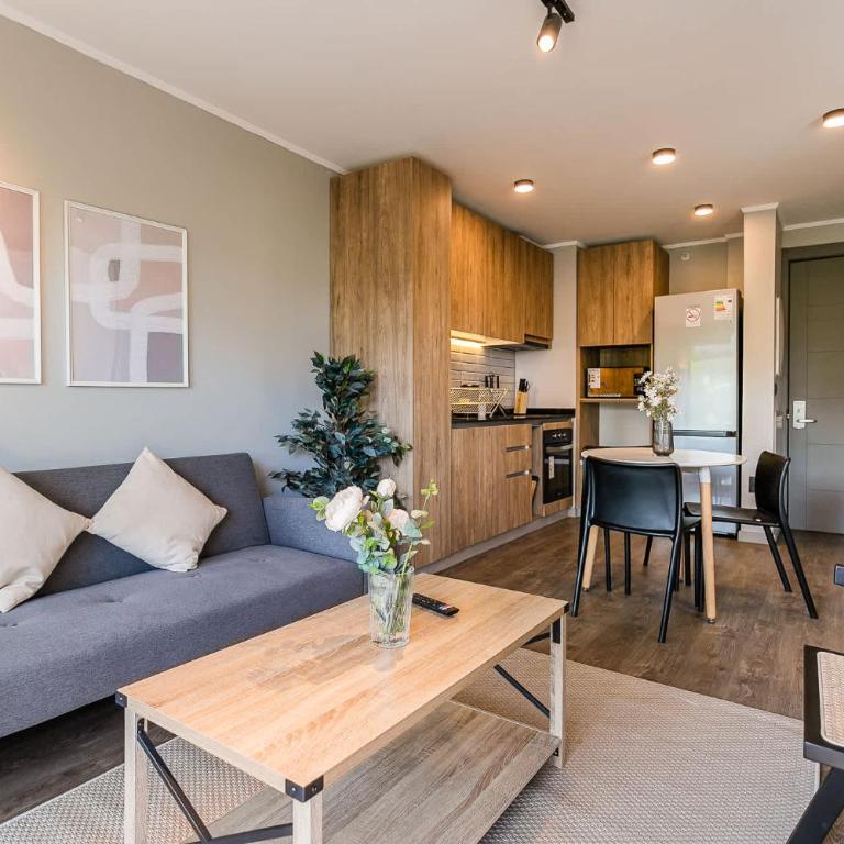 Providencia awaits you Ideal apartment for 2 - Apartment - 8