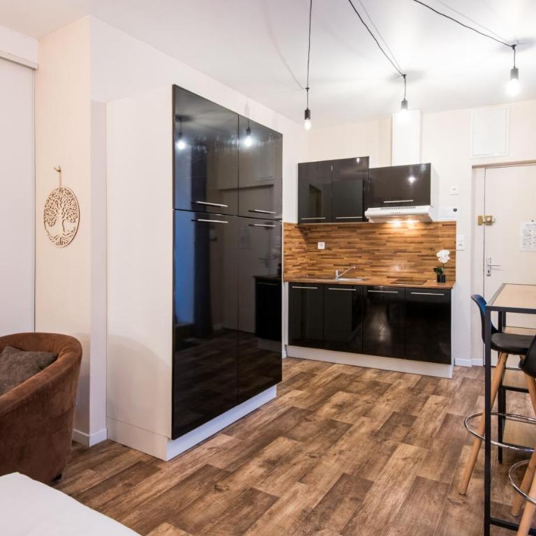 Studio Le Nid Douillet balcon, wifi, centre-ville - Appartement-Studio avec 1 Lit Double - 1