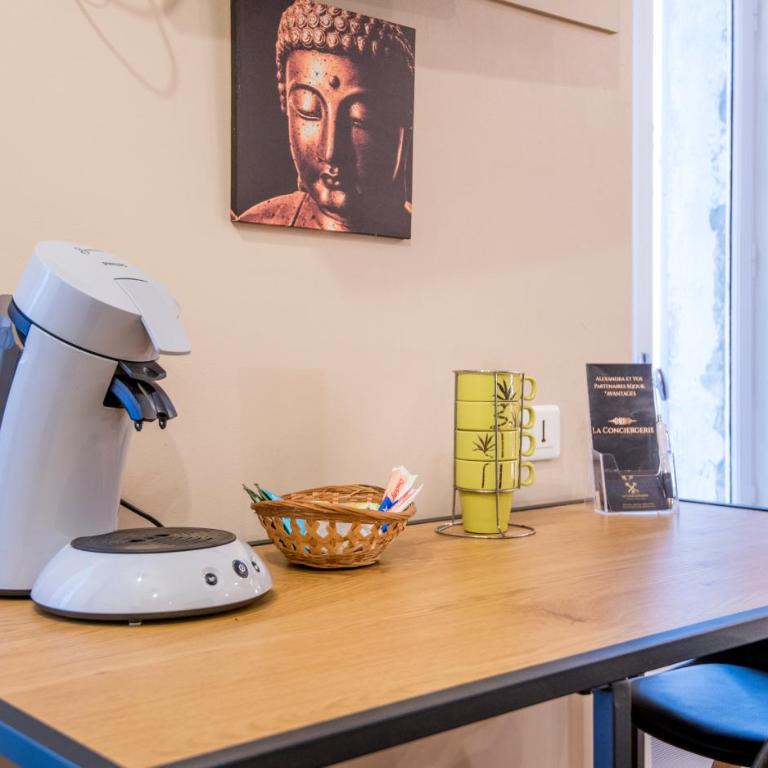 Studio Le Nid Douillet balcon, wifi, centre-ville - Appartement-Studio avec 1 Lit Double - 7