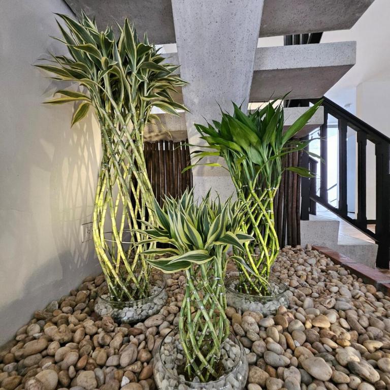 Magic Naranjo House 3BR wAC & jacuzzi in Laureles - Apartamento - 35
