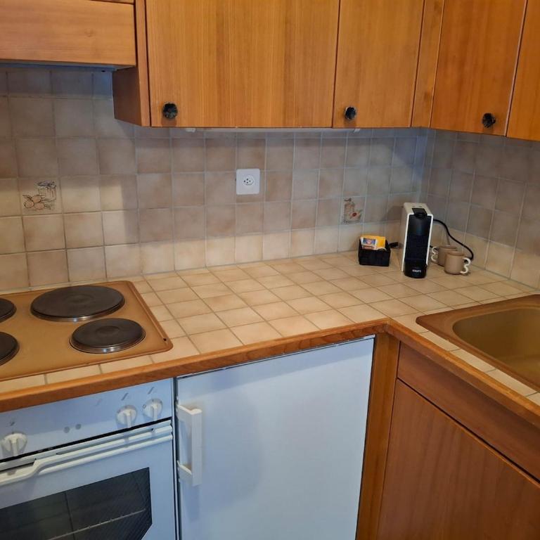 Charmant grand studio à Ovronnaz - Centre thermal - Appartement 1 Chambre - 12