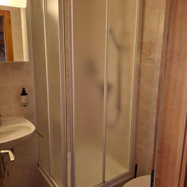 Charmant grand studio à Ovronnaz - Centre thermal - Appartement 1 Chambre - 10