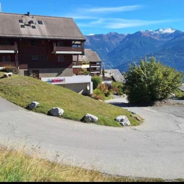 Charmant grand studio à Ovronnaz - Centre thermal - Appartement 1 Chambre - 14