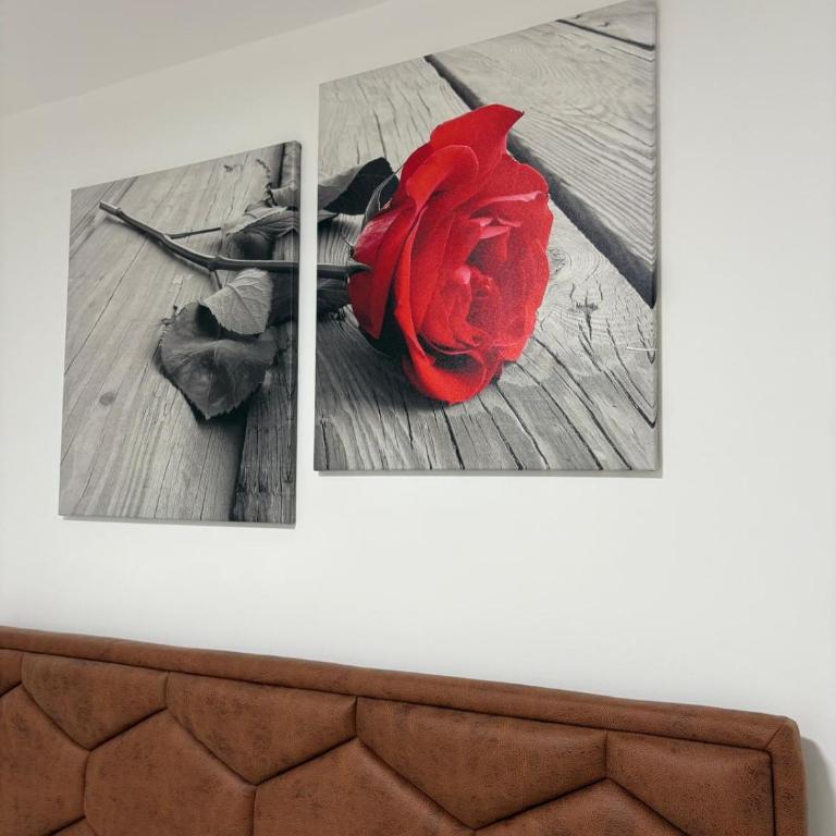 Apartman Iva - Two-Bedroom Apartment - 16