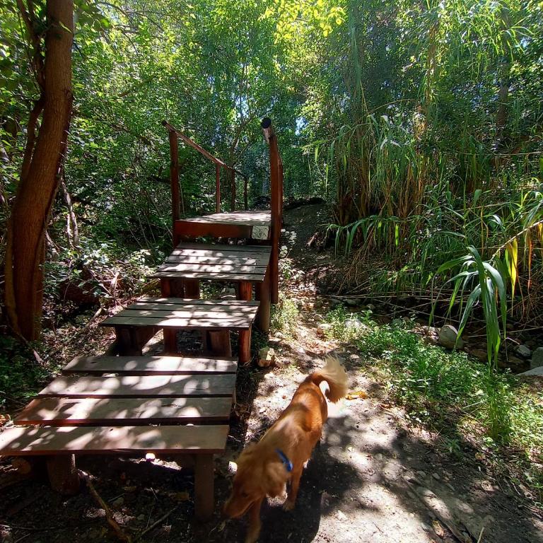 El Mirador de Ana Villa de las Rosas - Casa de 2 dormitorios - 21