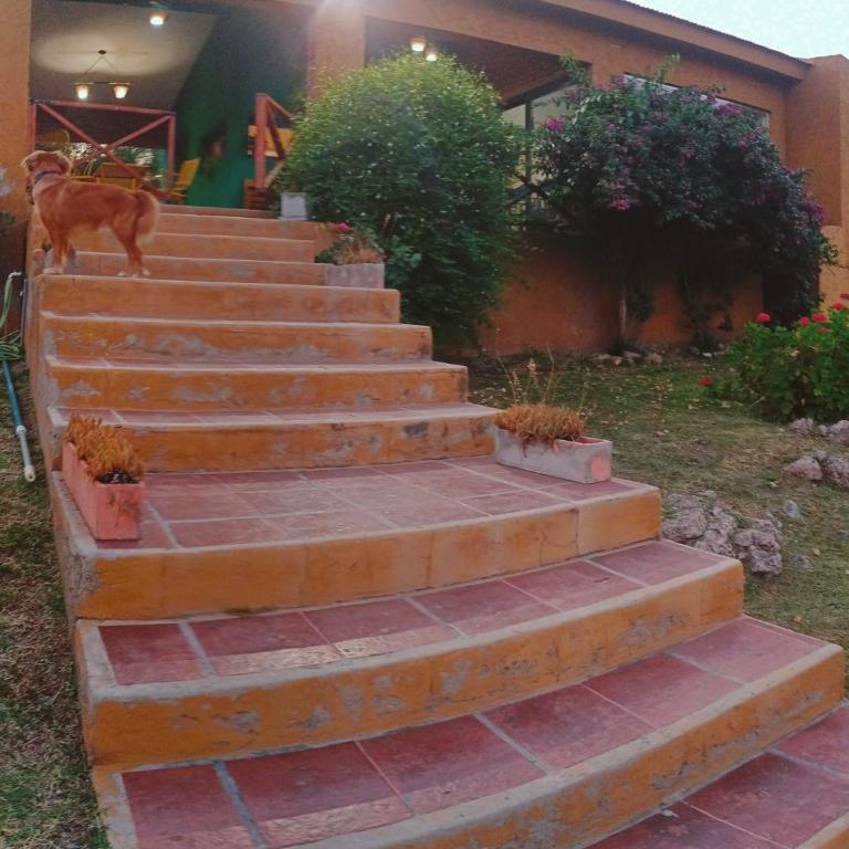 El Mirador de Ana Villa de las Rosas - Casa de 2 dormitorios - 23