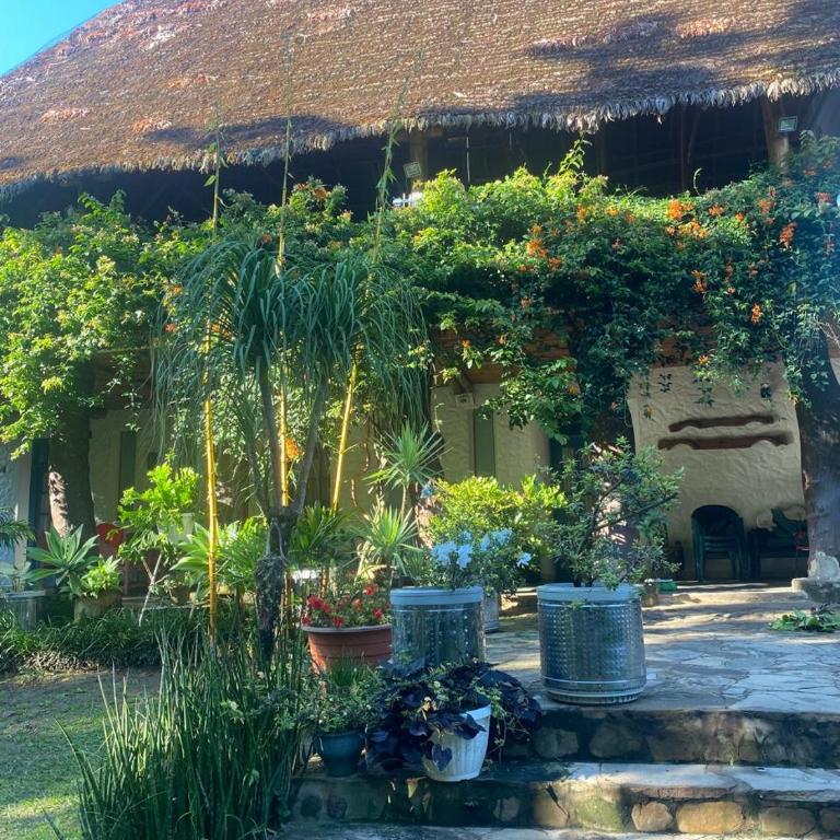 Villa Rossy - Four-Bedroom House - 16