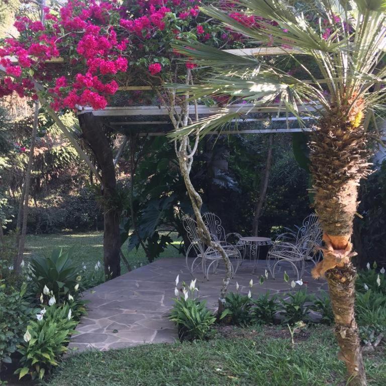 Villa Rossy - Four-Bedroom House - 20