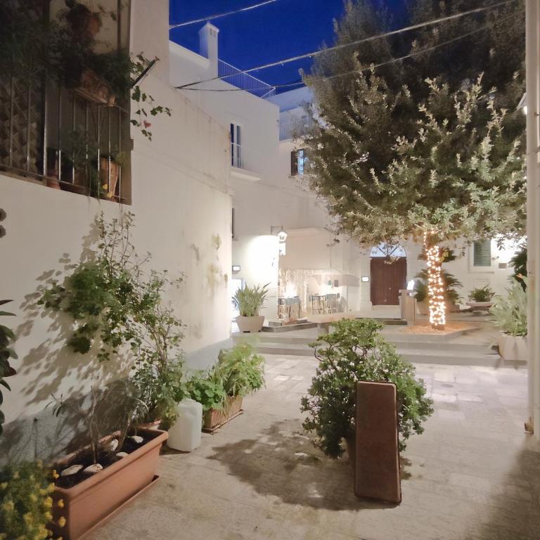 Forno Romano Apartment - Appartamento con 1 Camera da Letto - 3