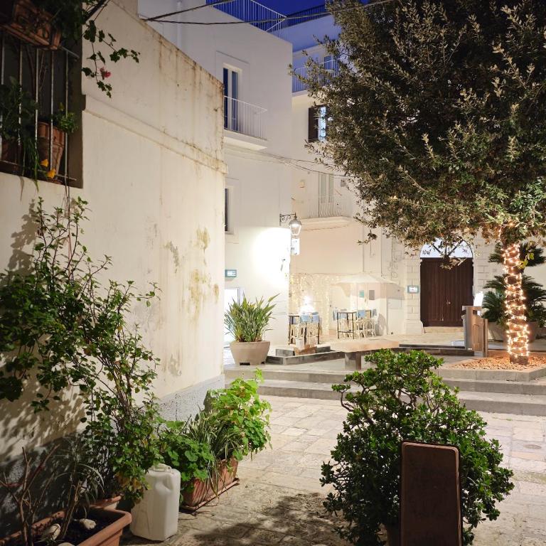 Forno Romano Apartment - Appartamento con 1 Camera da Letto - 4